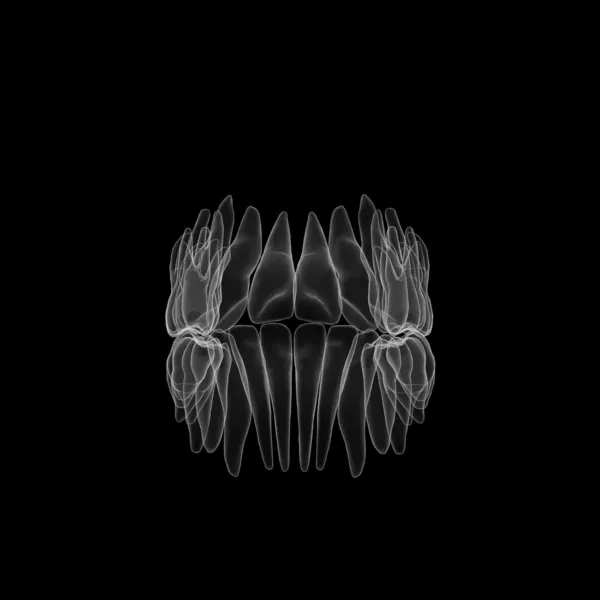 Equipo clinico especializado